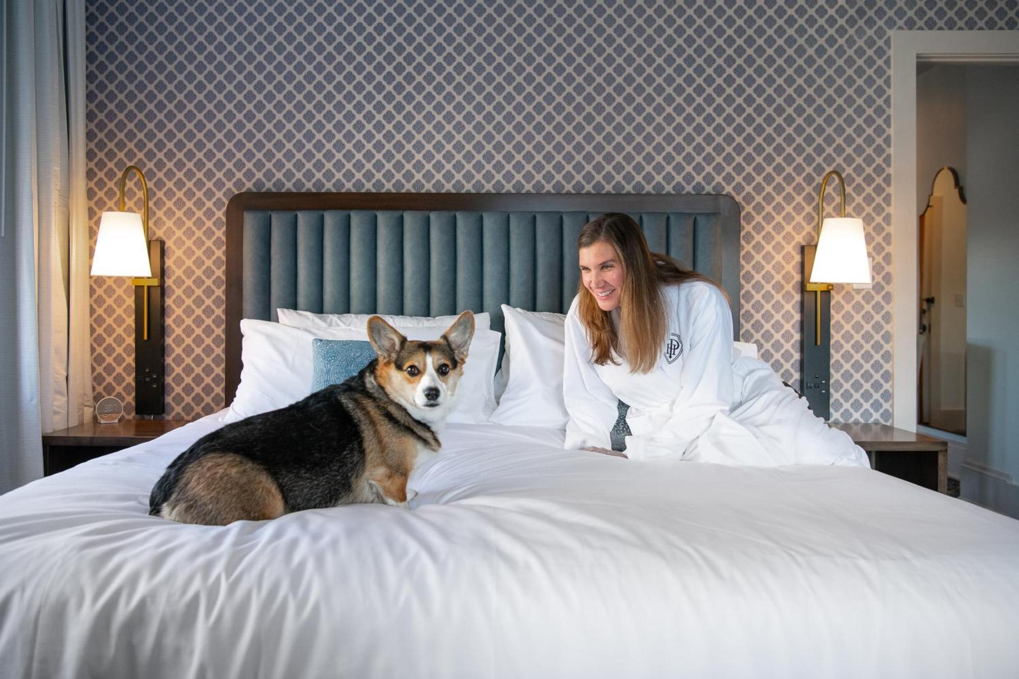 Hotel Petersburg, Tapestry Collection By Hilton Екстериор снимка